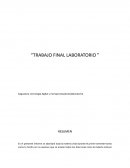 Asignatura: tecnología digital y microprocesadores(laboratorio)