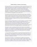 El Medio Ambiente: Un Llamado a la Acción Colectiva