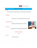 Efectos del consumo de comida chatarra en la salud de los jovenes de 1ero de BGU