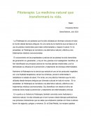 Fitoterapia: La medicina natural que transformará tu vida