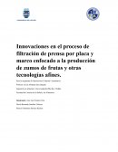 Innovaciones en el proceso de filtración de prensa por placa y marco enfocado a la producción de zumos de frutas y otras tecnologías afines