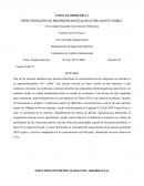 Espectroscopía de absorción molecular ultra-violeta visible