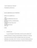 Segmento demográfico de Tacna