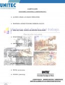 Etapas del estudio de método