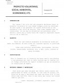 Proyecto voluntario,social ambiental,economico, etc.