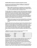 Caso Práctico: fondo de inversión global