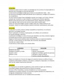 Tarea final Politica de empresa