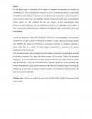 TFG Terapia Ocupacional i sensellarisme