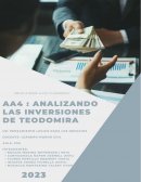 Analizando las inversiones de Teodomira