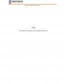 Elasticidad de la demanda y oferta. Equilibrio de mercado