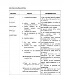 Descripción cualitativa sismos