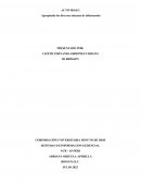 Sistemas de informacion gerencial