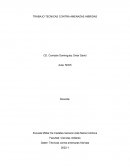 Técnicas contra amenazas hibridas