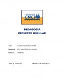 Proyecto Modular Pedagogía
