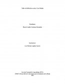 Fase analisis taller reflexion. Caso Malala