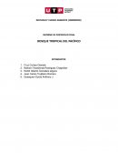 Impacto ambiental del ecosistema