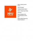 Reporte integrativo de la prueba de Rorschach