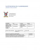 Las dimensiones de un paralelepípedo