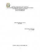 Derecho procesal penal resumen