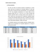 Diseño del plan de mejora