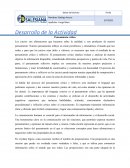 Pensamiento crítico y reflexivo