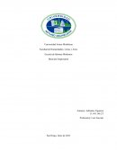 Las Aventuras de Huckleberry Finn. Por Mark Twain