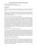 Entrevista Aromaterapia