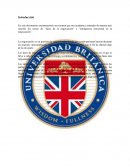 Faces de negociación