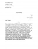 Filosofía de la ciencia . Tarea 2 la Hipótesis