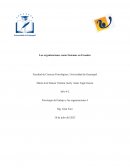 Las organizaciones como Sistemas en Ecuador