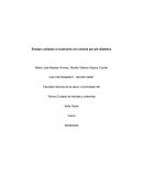 Ensayo cuidados a la persona con úlceras por pie diabético
