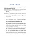 Plan de negocios. Plan de marketing