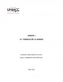 Gobiernos corporativos. Enron Corporation