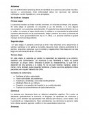 Alzheimer. Se divide en 3 etapas