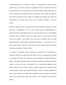 Desarrollo del Pensamiento