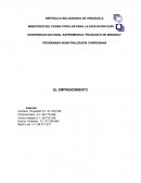 Informe Emprendimiento