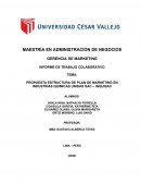 Propuesta estructura de plan de marketing en industrias quimicas unidas sac – Inquisac