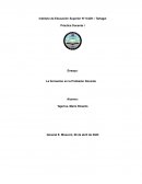 La formación en la profesión docente