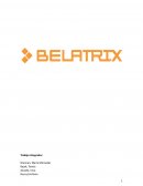 Analisis organizacional Belatrix