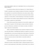 Reflexiones sobre el papel de la ingenieria civil en la evolucion del medio ambiente