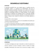 Ensayo desarrollo sostenible