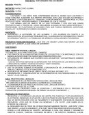 Proyecto: Explorando con los imanes