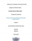Análisis de las intervenciones en procesos humanos del Desarrollo Organizacional