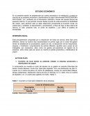 Estudio Economico Proyecto Frutigurt