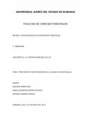 Propuesta de restauración de la Luguna de Santiaguillo