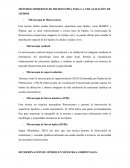 Métodos modernos de microscopía para la visualización de lípidos