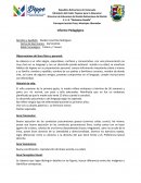 Observaciones del área física y personal