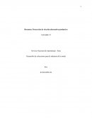 Proyección de elección alternativa productiva