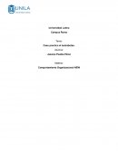 Caso practico el lustrabotas