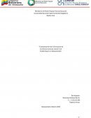 Caracterización de la Estructura de Economía Comunal, Sector II de Pueblo Nuevo en Barquisimeto